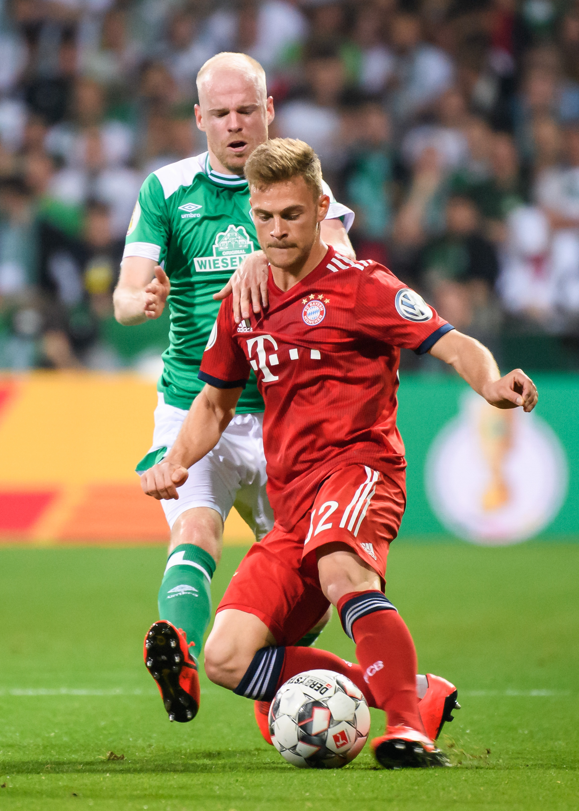 的动态格外 的动态格外